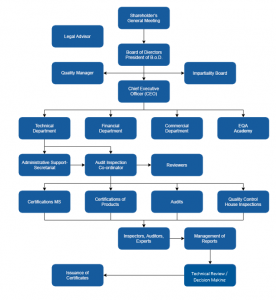 Organization Chart